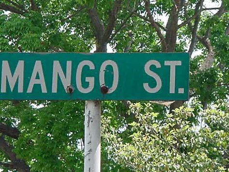 Sandra Cisneros was mostly influenced by her mom and the public library that was in Chicago. She realized that there were beautiful world of literature. She started to write after that. The House On Mango Street Aesthetic, House On Mango Street, The House On Mango Street, Mango Street, Sandra Cisneros, Audre Lorde, Black Men Hairstyles, Men Hairstyles, Playlist Covers