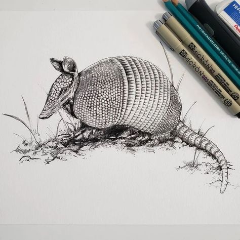 Armadillo Art, Texas Animals, Blue Flower Art, Jellyfish Painting, Art Print Black And White, Media Illustration, Whimsical Art Paintings, Mixed Media Illustration, Animal Wildlife