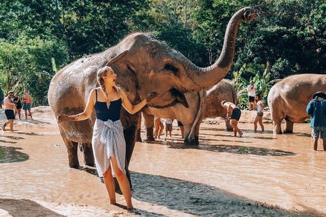 Best things to do in Phuket: Green Elephant Sanctuary Park | Little Grey Box Green Elephant Sanctuary Phuket, Elephant Sanctuary Thailand Phuket, Elephant Sanctuary Outfit, Phuket Elephant Sanctuary, Elephant Sanctuary Thailand, Bali Elephant, Things To Do In Phuket, Manifest Board, Thailand Outfit