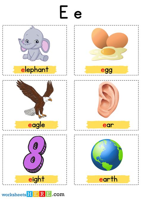 Letter With Pictures, Letter E Activities, E Letter, Alphabet E, Words List, Agricultural Tools, Sound Words, Classroom Activity, School Learning