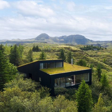 Iceland House, Turf House, Nordic Architecture, Iceland Vacation, Passive Solar Design, Timber Cladding, Bright Homes, Timber House, Forest House