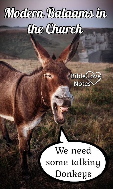 There are modern Bible teachers who are spreading error for the same reasons Balaam spread error. This 1-minute devotion encourages us to be discerning. Talking Donkey Bible Lesson, Bible Love Notes, New Testament Books, Sabbath School, God Things, Bible Topics, Bible Study Lessons, 2 Peter, Bible Love