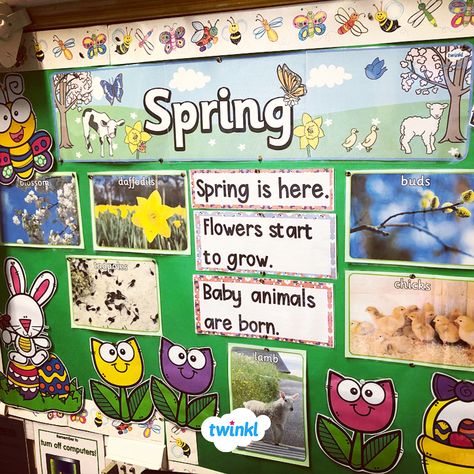 Spring Themed Classroom, Spring Eyfs, Nursery Display Boards, Spring Display, Easter Display, Spring Classroom, Eyfs Activities, Display Boards, Classroom Display