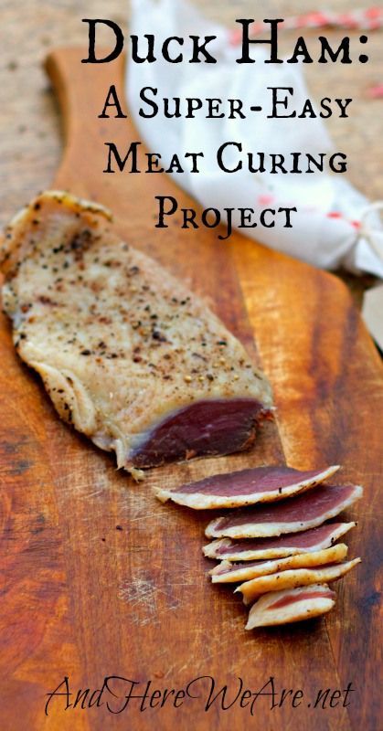 Duck Ham A Super-Easy Meat Curing Project from And Here We Are Meat Curing, Cured Meat Recipes, Duck Recipes, Homemade Sausage, Nourishing Foods, Smoked Food Recipes, Processed Meat, Cured Meats, Game Food