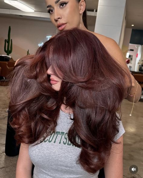 Chocolate Brown Hair With Violet Undertones, Chocolate Brown Reddish Hair, Red Toned Brunette Hair, Dark Cherry Brown Hair Curly, Raspberry Chocolate Hair Color, Cherry Auburn Hair, Mocha Red Hair, Coconut Brown Hair, Cherry Chocolate Balayage Hair