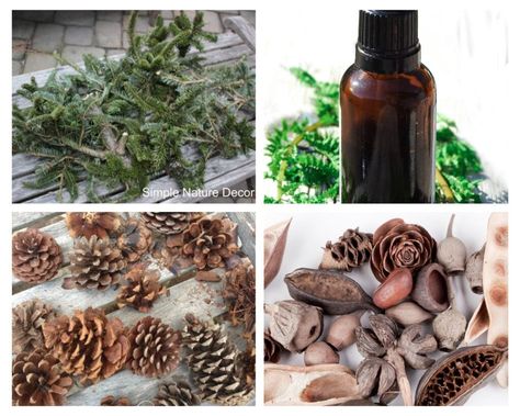 Pine Needle Potpourri Keeps The Scent Of The Holiday All Year Potpourri Diy, Scented Pinecones, Pine Essential Oil, Fresh Christmas Trees, Pine Branch, Large Baskets, Sweet Scents, Seed Pods, Pine Needles