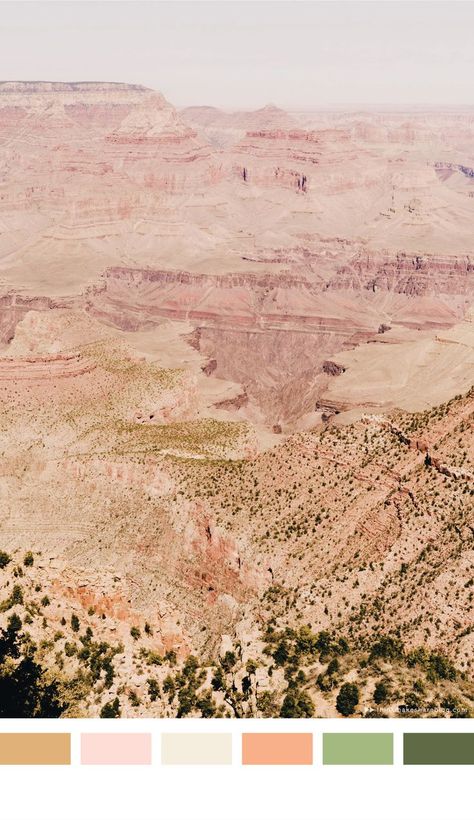 desert color palette Spring Desert Color Palette, Desert Pink Color Palette, Desert Pallet Colors, California Colour Palette, Modern Desert Color Palette, Desert Sunset Color Palette, Desert Color Scheme, Desert Color Palette, Desert Inspiration