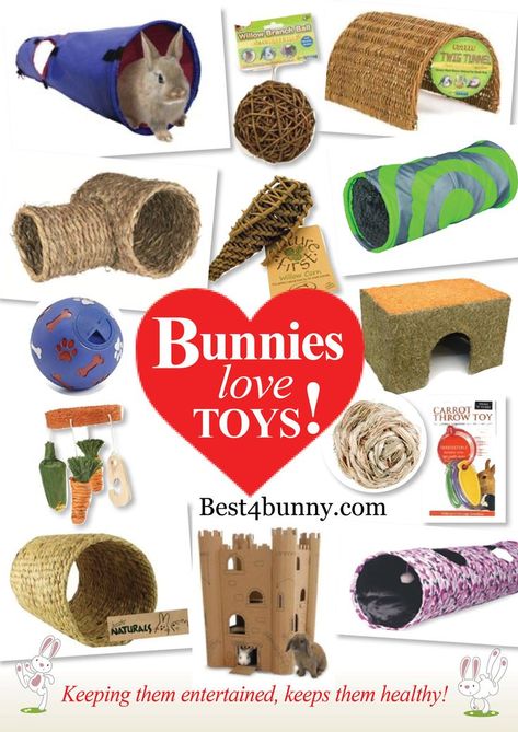 Kandang Hamster, Diy Bunny Toys, Bunny Supplies, Pet Rabbit Care, Bunny Hutch, Bunny Room, Pet Bunny Rabbits, Raising Rabbits, Indoor Rabbit