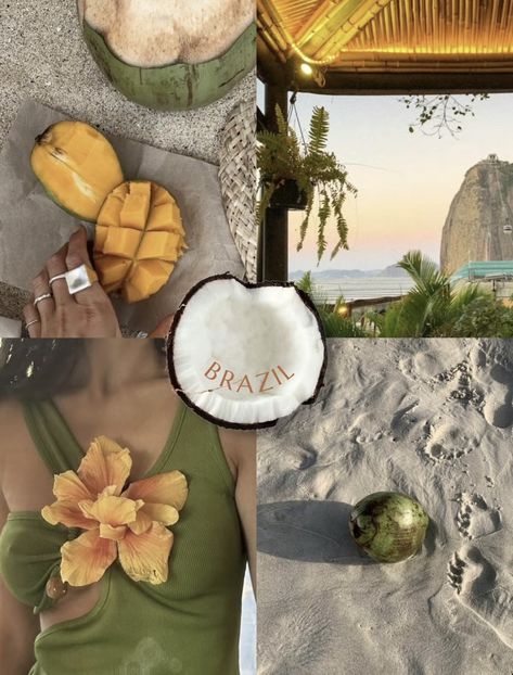 Tropical Green Aesthetic, Brazil Mood Board, Tropical Aesthetic Wallpaper, Coconut Core, Coconut Aesthetic, Layout Aesthetic, Travel Luxury, Shotting Photo, Aesthetic Autumn