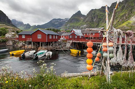 Small fishing village on Lofoten Islands Nordic Fishing Village, Scandinavian Architecture, Vernacular Architecture, Fishing Villages, Small Island, Scandinavia, East Coast, Denmark, Norway