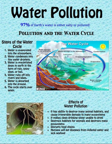 water pollution: Water Pollution Facts, Pollution Activities Worksheets, Pollution Quotes, Water Pollution Poster, Effects Of Water Pollution, Pollution Poster, Prevention Quotes, Pollution Activities, Air Pollution Poster