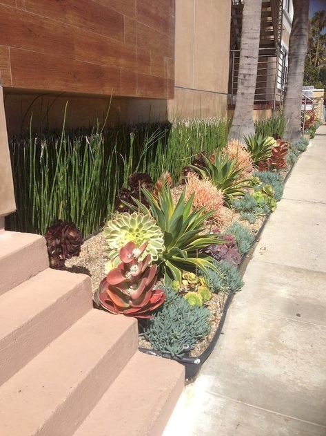 Succulent Garden Outdoor, Succulent Garden Landscape, Kaktus Dan Sukulen, Succulent Landscape Design, Succulent Garden Indoor, Succulent Garden Design, Succulent Landscaping, Succulent Gardening, Succulent Garden