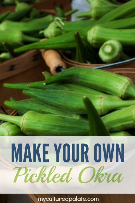 If your garden is like mine, you have lots of okra! Solution: Pickled Okra - It is fast, easy and delicious! Find the recipe at http://myculturedpalate.com/2010/09/10/pickled-okra/ How To Can Okra, How To Preserve Okra, How To Store Okra, Canned Okra Recipes, Preserving Okra, Fermented Okra, Canned Okra, Canning Okra, Pickle Okra