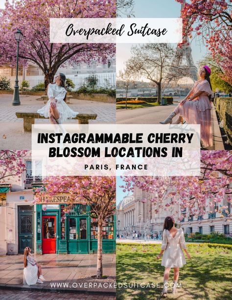 Trip to Paris with the Eurostar in the spring – Overpacked Suitcase France In Spring, March In Paris, Paris In March, Paris In April, Beautiful Paris, Trip To Paris, Travel Articles, Ways To Travel, The Eiffel Tower