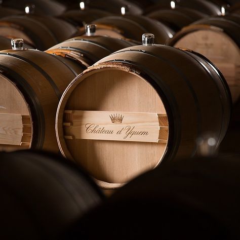 Wine Chateau, Barrel Room, Chocolate Cheese, Wine Desserts, Wine Barrel, Barrel, Wine, Instagram