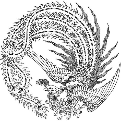 Chinese Phoenix Phoenix Chinese, Tattoo Tutorial, Textile Studio, Art Motifs, Painting Birds, Dragons Den, Up Tattoo, Phoenix Art, Phoenix Tattoo