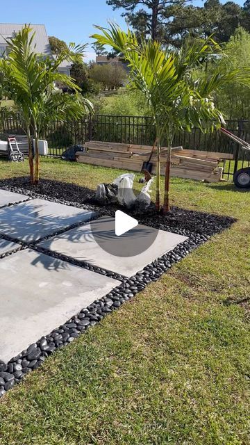 Tenesia & Terence | NC on Instagram: "Adding palm trees to our backyard 🌴 Everyone convinced us to add rocks to the perimeter (12 more bags) but we are keeping mulch with the palms. I want to add some type of smaller plant between the palms but can’t decide what yet.   For the fence corner, we went with one bigger palm (I think it’s a Pygmy date palm) and ground coverage flowers along the edge  #backyard #diycouple #landscapingideas #backyardideas #diy #palmtrees #homeimprovement #backyarddesign #homeprojects" Backyard Palm Tree Ideas, Lipstick Palm Landscaping, Potted Palm Trees Outdoor, Palm Tree Backyard Landscaping, Landscaping Around Palm Trees, Palm Tree Landscape Ideas Backyards, Backyard Landscaping With Trees, Palm Tree Landscape Ideas Front Yards, Around The Tree Landscaping Ideas