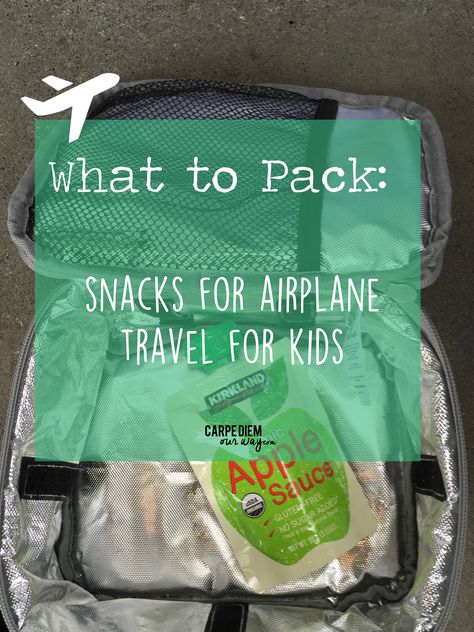 Headed out of town for American Thanksgiving? Here are some airplane snacks for toddlers to pack on your flight! Airplane Breakfast Ideas, Airplane Snacks For Kids, Plane Snacks, Airplane Snacks, Snacks For Toddlers, Snacks Kids, Travel Hacks Airplane, Airplane Food, Trip Snacks