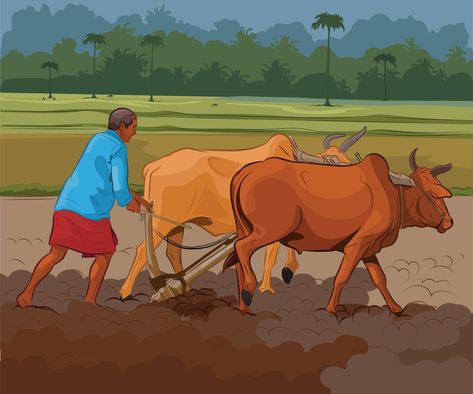 Indian farmer working in village agriculture Farmer Illustration, Farmer Working, Village Illustration, Farmer Painting, Village Scene Drawing, Farm Cartoon, Village Drawing, Memory Drawing, Murugan Wallpapers