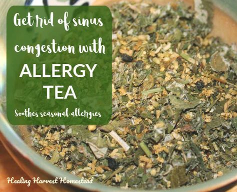 Tea For Runny Nose, Herbal Tea For Colds Cough Remedies, Allergy Tea, Homemade Herbal Tea, Thieves Tea, Lung Support, Tea Mixes, Tea Blending, Tea Syrup