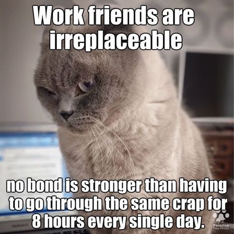 Daily Work Quotes, Best Work Friends Quotes, Work Friends Quotes, Work Sarcasm, Wallpaper Meme, Spot Wallpaper, Workplace Humor, Work Quotes Funny, Work Friends