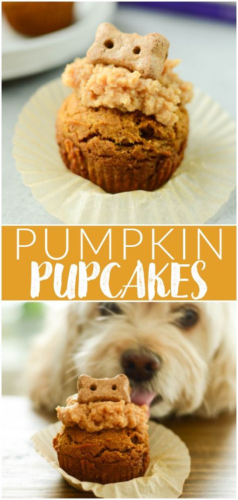 Homemade Dog Cupcakes, Pumpkin And Peanut Butter, Dog Birthday Cupcakes, Pupcake Recipe, Fake Ginger, Dog Cake Recipes, Dog Cupcakes, Dog Pumpkin, Puppy Cake