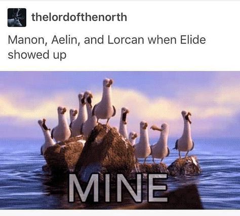 Throne Of Glass Funny, Throne Of Glass Quotes, Dorian Havilliard, Queen Of Shadows, Throne Of Glass Fanart, Tog Series, Sjm Universe, To Whatever End, Throne Of Glass Books