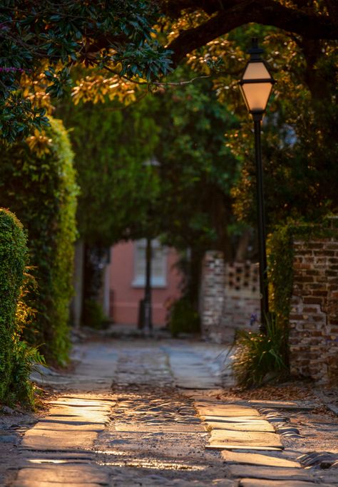 Charleston, SC Studio Background Ideas, Outdoor Background, Advanced Photography, Photoshop Backgrounds Backdrops, Nature Background Images, Afternoon Light, Blurred Background Photography, Photography Studio Background, Desktop Background Pictures