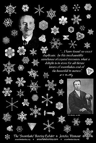 Wilson Bentley quote and snowflakes. Endearing Quotes, Snowflakes Science, Stream Ideas, Snowflake Bentley, Snowflake Images, Snowflake Photos, Snow Crystal, Forest School, Groundhog Day