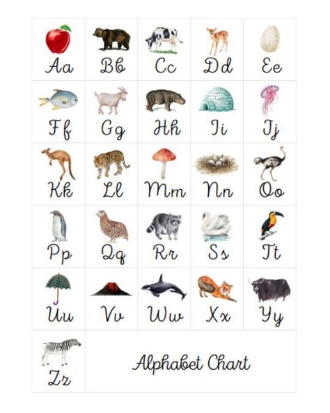 ABC chart in cursive for kids. Has 26 letters and for each letter a corresponding picture of an animal or nature object. Says the title of "Alphabet Chart". Cursive Alphabet Printable, Get Ready For Kindergarten, Learn Cursive, Independent Play Activities, Letters For Wall, Abc Chart, Learn Alphabet, Learning Cursive, Pre Reading Activities