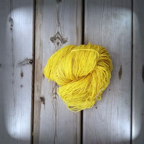 Goldenrod - Natural Dye - Wool Yarn : 4 Steps (with Pictures) - Instructables Goldenrod Flower, Dyeing Yarn, Dyeing Tutorials, Art Time, Colour Inspiration, Mesh Netting, Eco Printing, Family Art, Dyeing Process