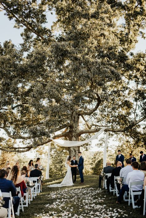 Backyard Wedding Under Tree, Outdoor Wedding Tree, Wedding Ceremony Under Tree, Ceremony Under Tree, Outdoor Wedding Altar, Wedding Under Trees, Tree Wedding Ceremony, Wedding Isles, Salou