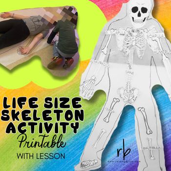 Get ready for an exciting hands-on experience! In the classroom, students will embark on the adventure of building life-size skeletons with their teams. This engaging activity not only delves into the intricacies of our skeletal system but also fosters essential social skills. Through teamwork, students will navigate social challenges, learn the art of delegation, make collective decisions, and work cohesively towards a common goal. Bonus - funny anatomy team names, and a comprehensive lesson. Body Planes, Anatomical Position, Life Size Skeleton, Reading And Writing Resources For Middle School, Health Care Professionals, Skeletal System, Interactive Games, Learning Journey, Body Systems