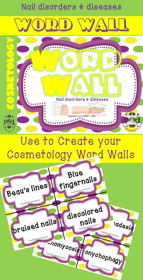 Finally! Resources for Cosmetology Instructors! Encourage your Cosmetology students to learn their chapter vocabulary with this Word Wall and at the same time adding some pizzaz to your class decor! Cosmetology Projects For Students, Cosmetology Activities Student, Cosmetology Games For Students, Cosmetology School Activities, Cosmetology Classroom Decor, Cosmetology Classroom Ideas, Cosmetology Teacher, Cosmetology Student, Hairstylist Quotes