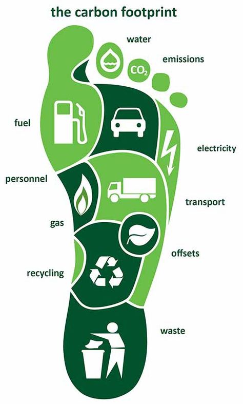 Use this for a spread - but not carbon footprint...how we spend our time during the day? A graph with percentages... Footprint Poster, Carbon Footprint Calculator, Reducing Carbon Footprint, Environmentally Friendly Living, Save Environment, Save Our Earth, Ecological Footprint, Environment Day, Energy Technology