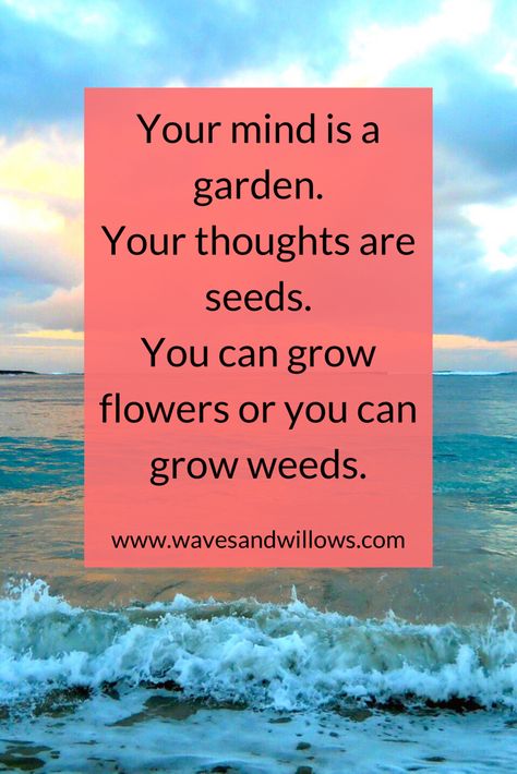 Positive Mindset Quotes Good Vibes, Quotes About Mindset, Your Mind Is A Garden, Mind Is A Garden, Positive Mindset Quotes, Mindset Quotes Positive, Mindset Matters, Positive Thought, Mindset Coach