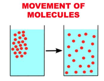 This 55 slide PowerPoint presentation includes information regarding passive and active transport. This PowerPoint includes easy-to-follow, but detailed descriptions of diffusion, osmosis, hypotonic solutions, hypertonic solutions, isotonic solutions, passive transport, active transport, endocytosis... Hypotonic Solutions, Diffusion Osmosis, Active Transport, Passive Transport, Teacher Store, Educational Resources, Powerpoint Presentation, Teacher Pay Teachers, Presentation