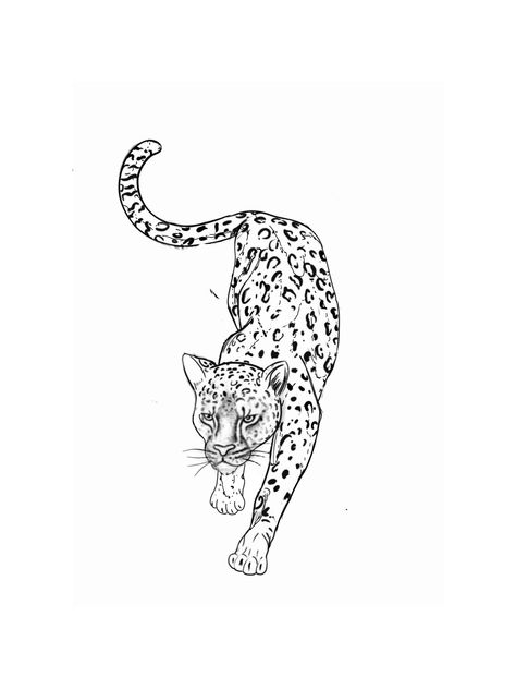 Leopard Tattoo, Leopard Tattoos, Tattoo Inspo, Line Drawing, Cool Tattoos, Tattoo Ideas, Tattoos, Drawings, Pins