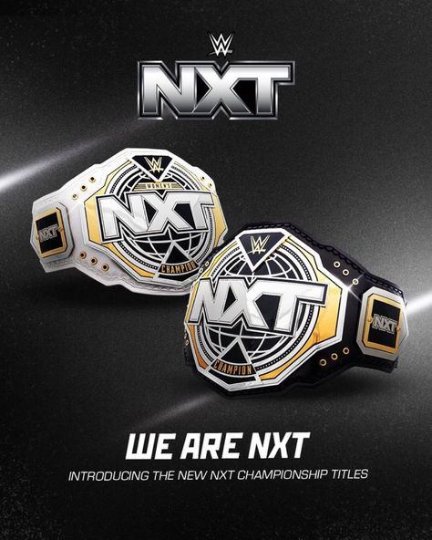 Wwe Title Belts, Wrestling Belts, Wwe Logo, Wrestling Gear, Tribe Of Judah, Wwe Nxt, Cm Punk, New Logo, Aang