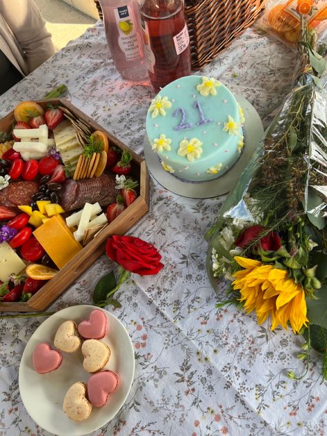 21st Birthday Pastel Theme, Wholesome 21st Birthday Ideas, 21 Birthday Picnic, 21st Birthday Picnic Ideas, 21st Birthday Picnic, Bday Picnic, 21 Bday, Picnic Birthday Party, Birthday Picnic