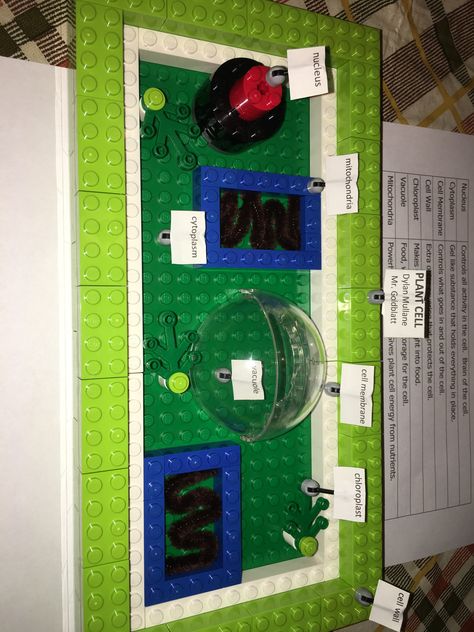 3D Plant Cell LEGOS Lego Plant Cell Model, 3d Cell Project, 3d Plant Cell, Animal Cell Model, Plant Cell Project, Plant Cell Model, Animal Cell Project, Cell Project, Cell Science