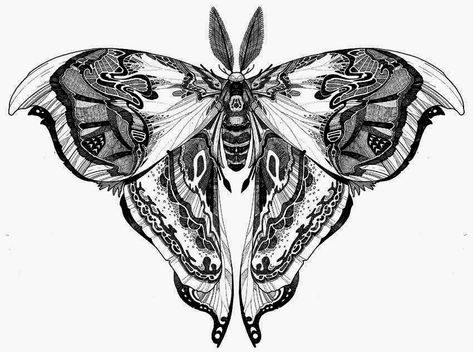 Tattoo Papillon, Moth Tattoos, Designs With Meaning, Moth Tattoo Design, Tier Tattoo, Insect Tattoo, Moth Art, Inspiration Tattoos, Moth Tattoo