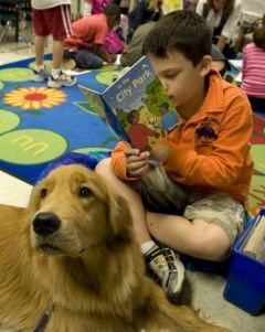 Can dogs reduce bullying in schools?  Educators across the country are using canines to teach compassion and social responsibility. Classroom Pet Ideas, Classroom Pets, Therapy Dog Training, Socializing Dogs, Therapy Animals, Support Dog, Assistance Dog, Pet Ideas, Social Development