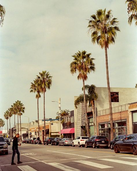 2104. Already planning my weekend. Photographed on Fujifilm 400. #abbottkinneyblvd #venicebeach #fujifilm400 #canoneosrebelt2 Jordan Smith, Abbot Kinney Blvd, Abbot Kinney, April 25, Venice Beach, Jordan, Angeles, How To Plan, Photographer