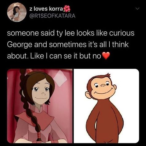 Atla Memes, Ty Lee, Avatar The Last Airbender Funny, Avatar Funny, Avatar Series, The Last Avatar, Air Bender, Avatar The Last Airbender Art, Team Avatar