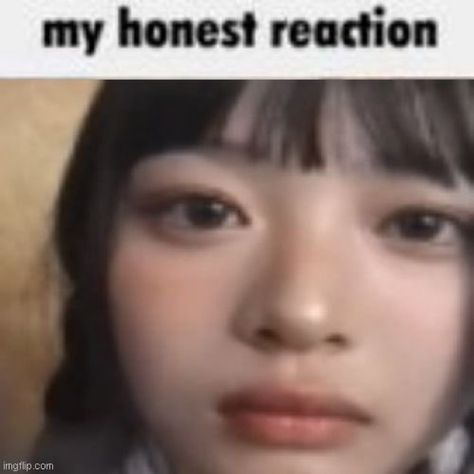 My Honest Reaction, Newjeans Kpop, Honest Reaction, New Jeans Style, Jokes Pics, Cute Memes, Meme Faces, Kpop Funny, Kpop Memes