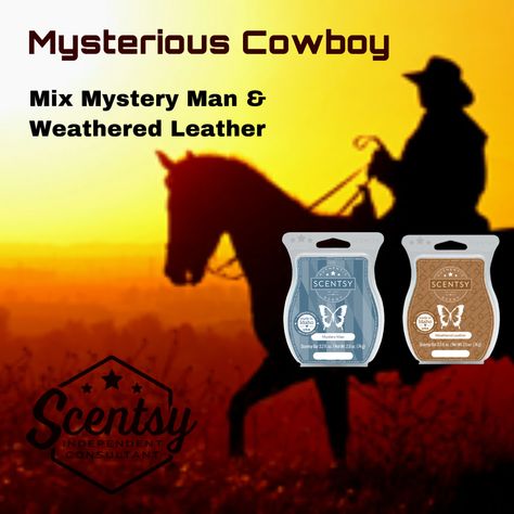 Scentsy Consultant Ideas, Scentsy Independent Consultant, Scentsy Consultant, Independent Consultant, Benefits, For Men