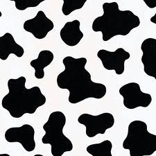 cow spots template - Google Search Photowall Ideas, Photographie Indie, Cow Print Wallpaper, Black And White Cow, 귀여운 음식 그림, Cricut Images, Bedroom Wall Collage, Indie Room, White Cow