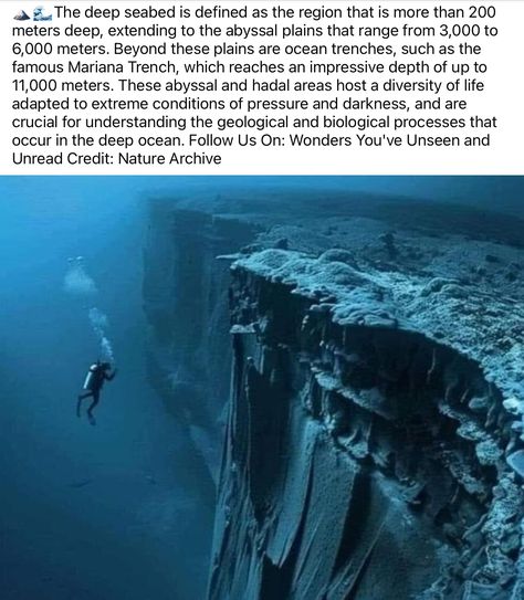 Scary Ocean Pictures, Terrifying Ocean, Scary Ocean, Ocean Trench, Marianas Trench, I'm Scared, Ocean Pictures, Im Scared, Geology