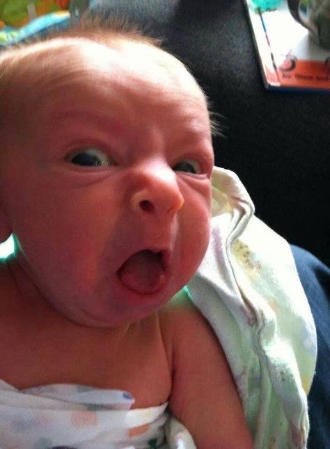 Funny Kids Pictures, Twitch Scenes, Laughing Images, Babies Pictures, Funny Baby Jokes, Funny Baby Faces, Baby Jokes, Laughing Funny, Funny Baby Pictures